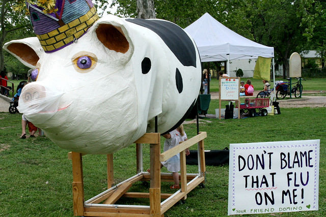 Domino the Pig